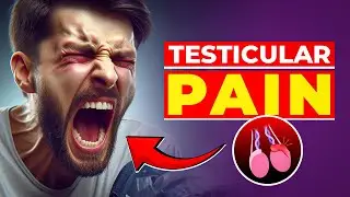 Testicular lumps and pain | What you need to know