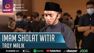 SURAT AN NABA 31 - 40 - AT TIN & AL IKHLASH || TAQY MALIK || IMAM SHOLAT WITIR