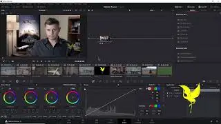 DaVinci Resolve 16 Lesson   61