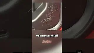 Авто-пасхалки