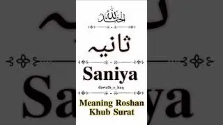 saniya name meaning in urdu Whatsapp Status