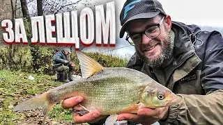 FEEDER in late autumn on a wild LAKE. Why doesn't the BREAM bite!?