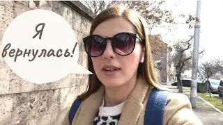 Я в Ереване | Щенки самоеда | Влог | Shushan Nazaryan