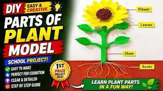 parts of plants model 3d making using cardboard | science project | howtofunda | still model