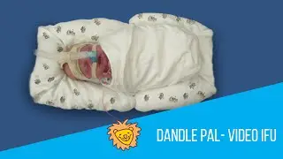 Using the Dandle PAL