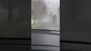 Fog in Punjab 🌫️😶‍🌫️