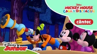 🎒 La drum cu Chicot! | Mickey Mouse: Casa distracției | Disney Junior România
