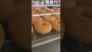 Donuts Day.
