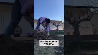 4 de febrero de 2024
