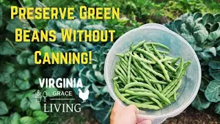 How to Blanch and Freeze Green Beans - No Canning Needed!