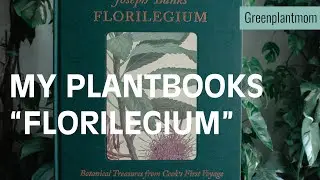 Florilegium -  Joseph Banks