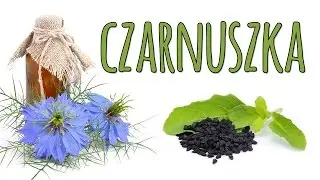 Czarnuszka - NAWIGUJ NA ZDROWIE #14