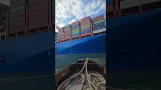Giant COSCO SHIPPING STAR Loaded with Containers! 🚢📦 #shorts