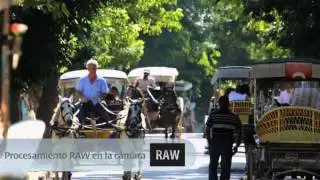 canon-eos60d-es-lg-1.flv