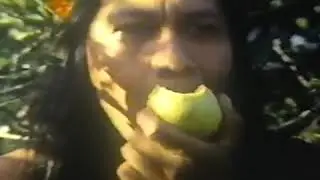 Outros Quinhentos (Carlos Frederico 1992) - Ficção