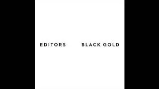 Editors - Black Gold (Throwing Snow Remix)