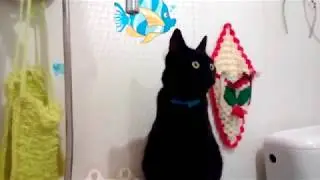 Мурзик играет с водой^^