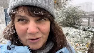 На Ужин Морковный Торт