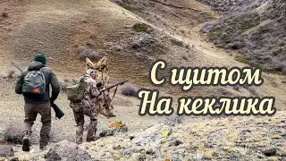 За кекликом в Торайгыр , пробовал охотиться со щитом 😮😁😁!