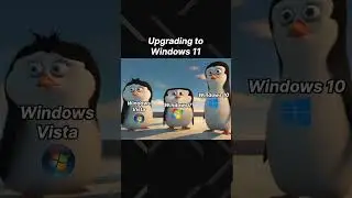 Everyone is switching to Linux or MacOS 