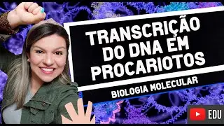 Transcrição do DNA em Procariotos  (MÓDULO ESPECIAL)