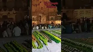 இரவு நேரத்தில் பெரிய கோவில் சிறப்பு நிகழ்வு 