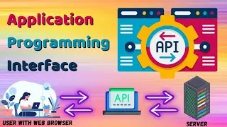 Application Programming Interface (API) | Easy Explained