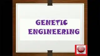 VIDEO ON GENETIC ENGINEERING by Gloria Rober