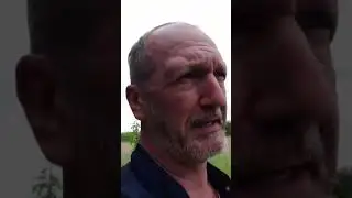 05.06.2022. Смотреть и видеть не одно и то же...