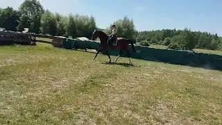 Cane 24 05 2024
