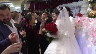 Свадьба Полезных Степана и Дианы с2