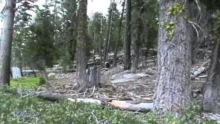 Amerikareise 2012