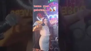 Dj seleber