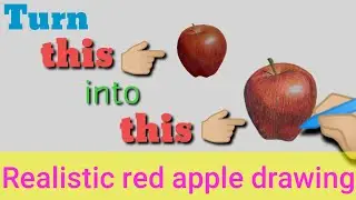 Draw apple with coloured pencil illustration |Red apple fresh fruit @drawurfav8813 #pencilcolouring