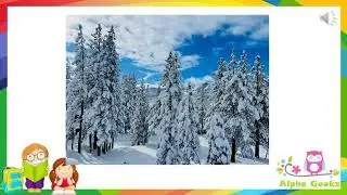 Adaptation in Plants growing on Hills Module 2.4 (Chapter 1 - Olympiad Class 4 Science)