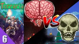 Terraria - Cerebro y Huesos