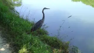 M4H01399.MP4