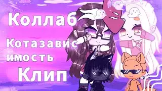 •🌼Коллаб🌼•\💦Клип💦\😺Котазависимость😺\