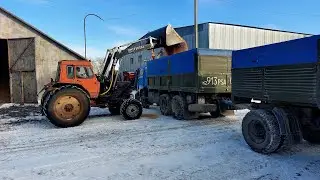 Камаз зерновоз. Дальнобой. После зерна гружусь углём. Вытаскиваю легковушку с кувета!