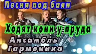 Ходят кони у пруда - песни под баян - Ансамбль Гармоника 2018