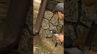 Second Yellow Jacket Treatment  