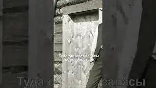 Самый богатый человек на Клондайке,  не добывший ни грамма золота! #shorts
