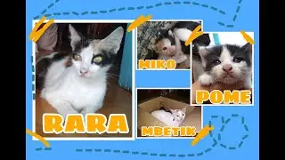 HELLO MY NAME IS "RARA" 😻 #Eps1 || By Nur Rohmania