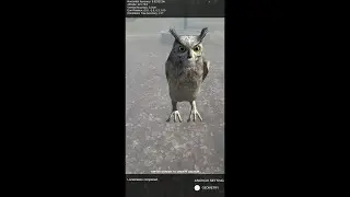 Testing 