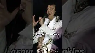 Elvis was constipated for 4 months 😱