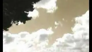 pink floyd trippy