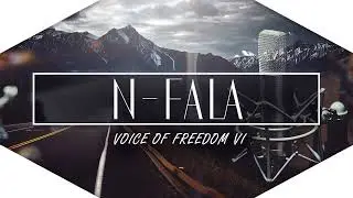Voice of freedom #1035 Demokracja jako biurokracja