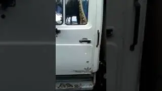 Кабина Зил бычок