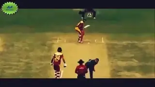 Beware of ‪Tigers‬