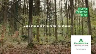 Životní pojištění FLEXI - vaše starosti si bereme na starost